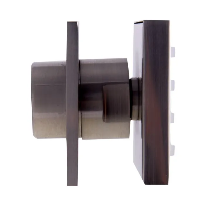 ALFI brand AB4501 Modern Square Adjustable Shower Body Spray