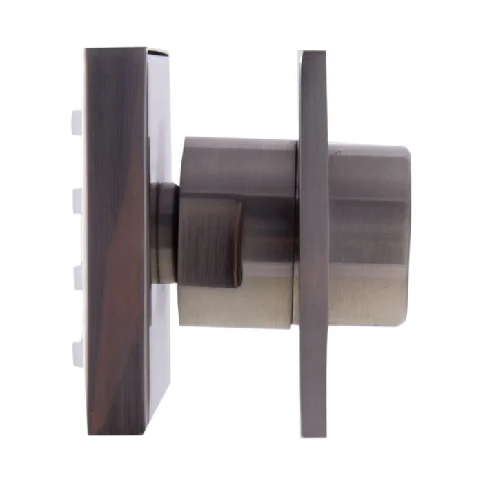 ALFI brand AB4501 Modern Square Adjustable Shower Body Spray