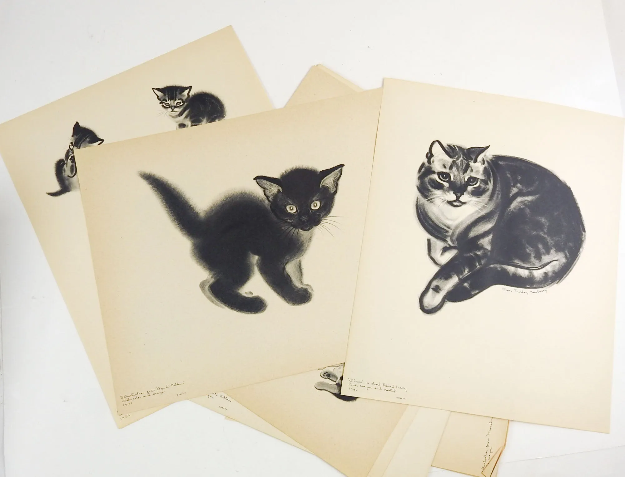 Cats: A Portfolio of Prints by Clare Turlay Newberry