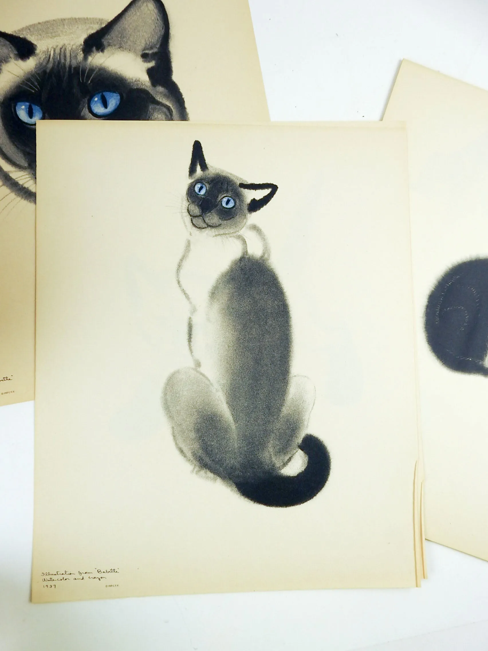 Cats: A Portfolio of Prints by Clare Turlay Newberry