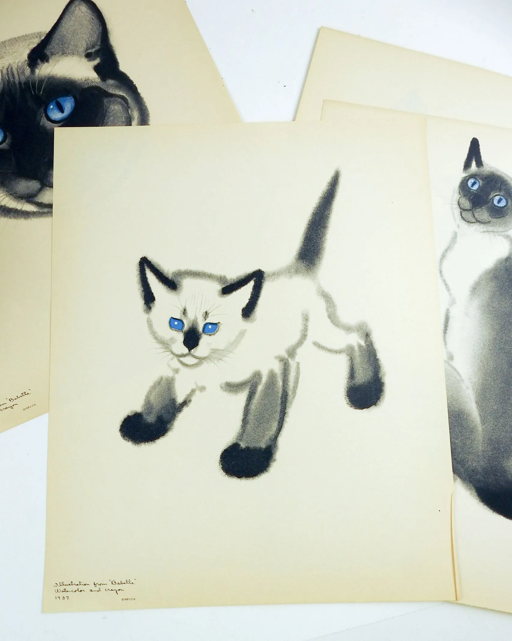 Cats: A Portfolio of Prints by Clare Turlay Newberry