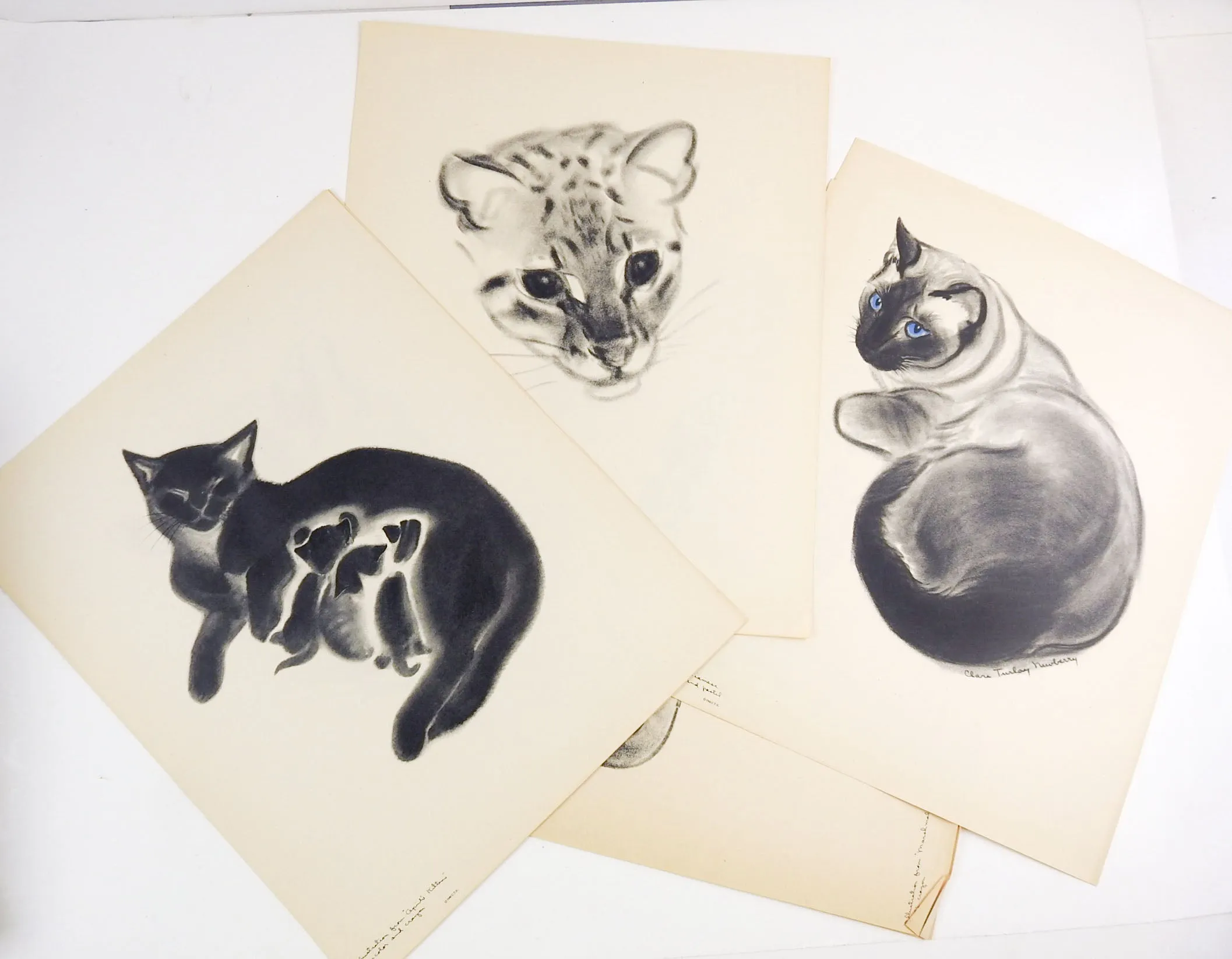 Cats: A Portfolio of Prints by Clare Turlay Newberry