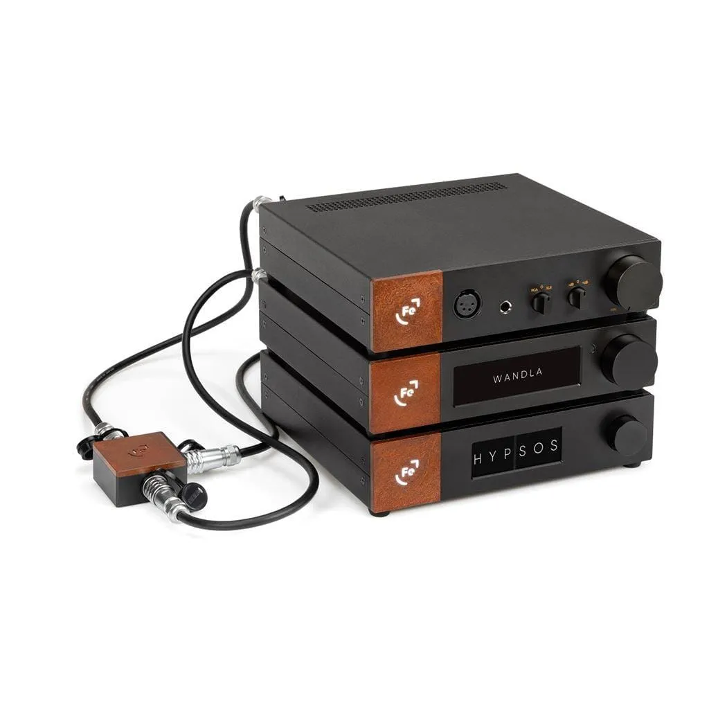 Ferrum WANDLA DAC - GoldenSound Edition