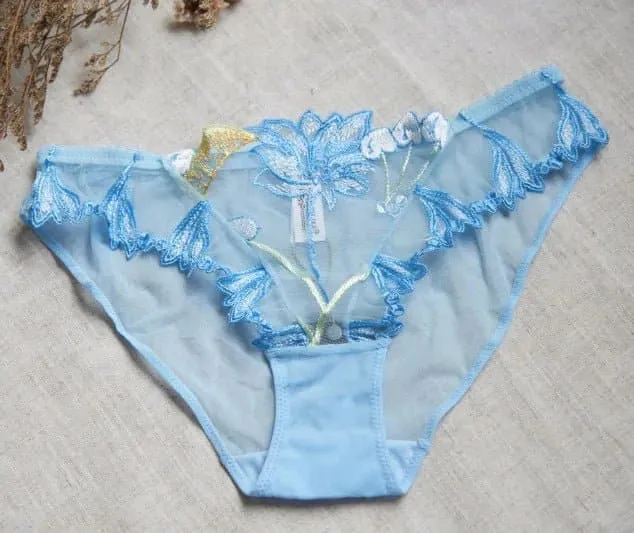 Transparent Embroidered Bra & Panty Lingerie Set - Floral Design, Underwire Support